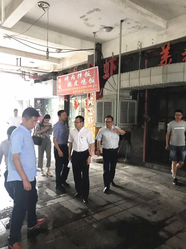 嘉善县委常委,组织部长沈伟强带队督查罗星街道生态环境问题大排查大