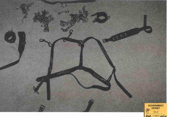 【多图曝光】章莹颖案最新证据图片:带血床垫