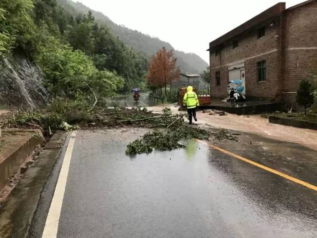 街道路面被淹,茶坝镇,群乐镇,关公镇等多个乡镇通江县松溪乡与恩阳区