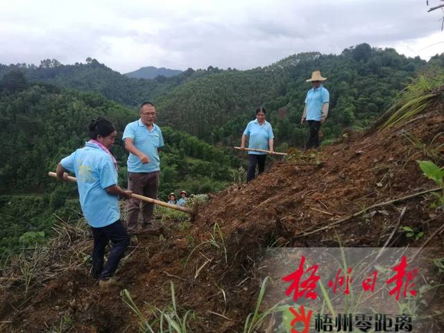 浓浓思乡情 携手兴家园丨藤县古龙镇德安村村民何宁的