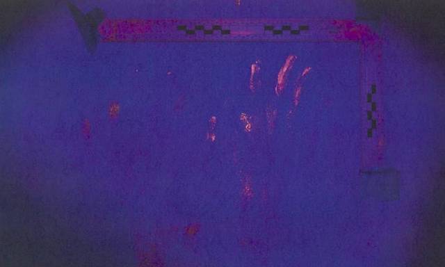 【多图曝光】章莹颖案最新证据图片:带血床垫