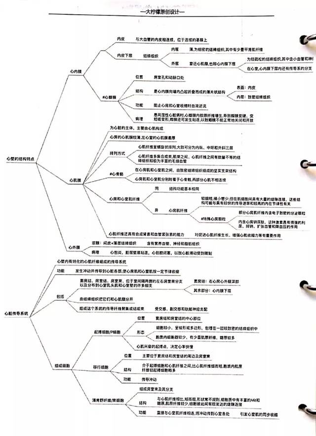 组织与胚胎学