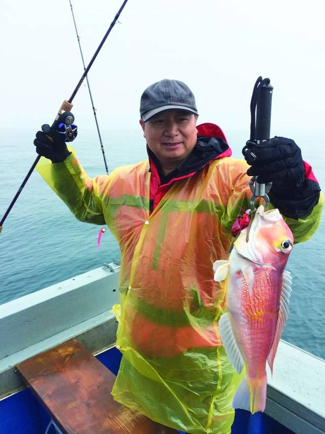 炎月钓法邂逅真鲷,铁板钓鰤鱼……这趟海钓真的震撼到