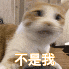 但是导致猫咪呕吐的原因却很多,有时是猫咪自我调节肠胃的手段,有时却