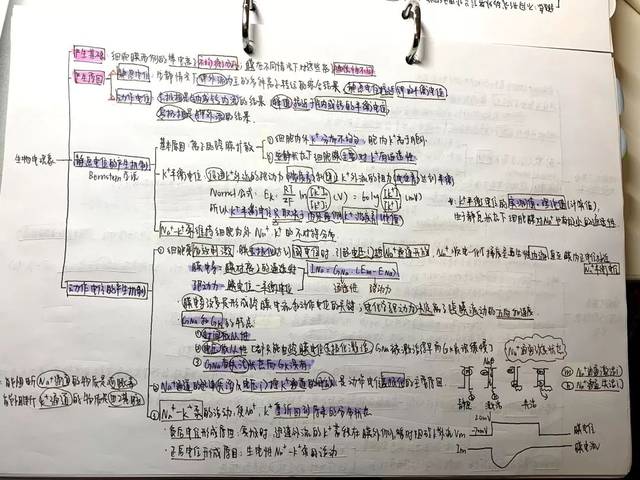 生物化学 图文并茂型 组织与胚胎学 笔记心得分享 16级八临2班 柏李