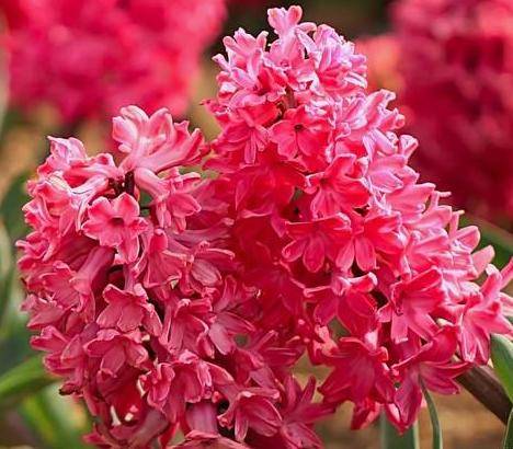 性格太强势,就爱瞎操心的4个生肖女,婚后起早