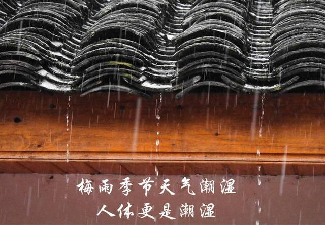 梅雨时节身体湿重要注意什么?_手机搜狐网