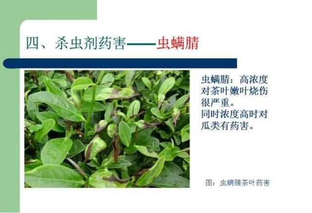 虫螨腈出事了!这家农药店赔了2.4万,还需要警惕这些农药!