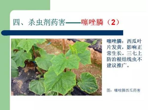 虫螨腈出事了!这家农药店赔了2.4万,还需要警惕这些农药!