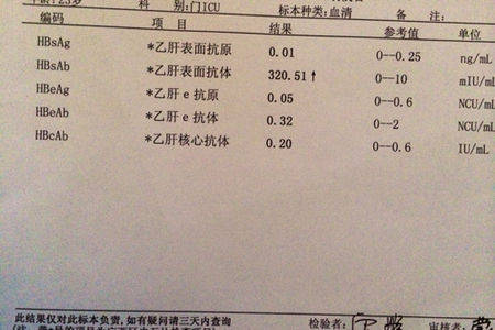 乙肝报告一一对应,从五项到乙肝核心抗原,