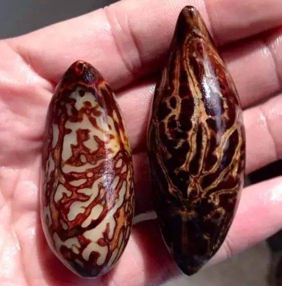 千眼菩提这么火,你会挑吗?