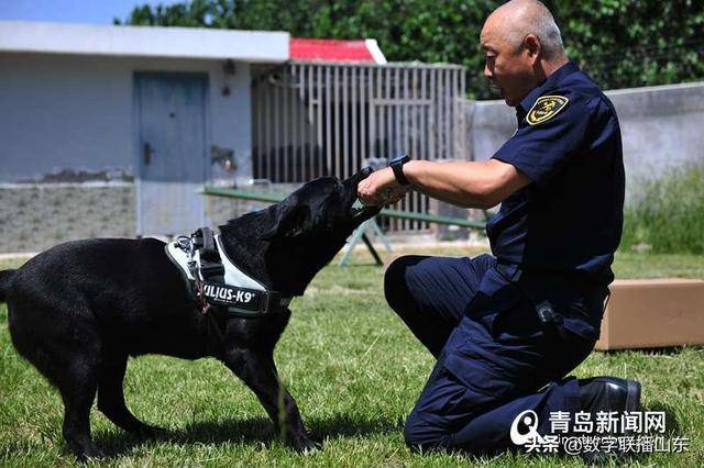 缉私犬训导员任海青和他的好伙伴缉毒犬"中阳.