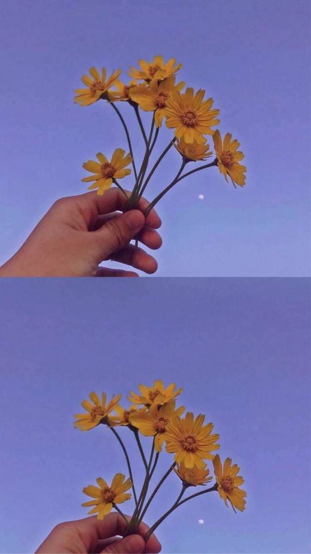 šڸȫֽ