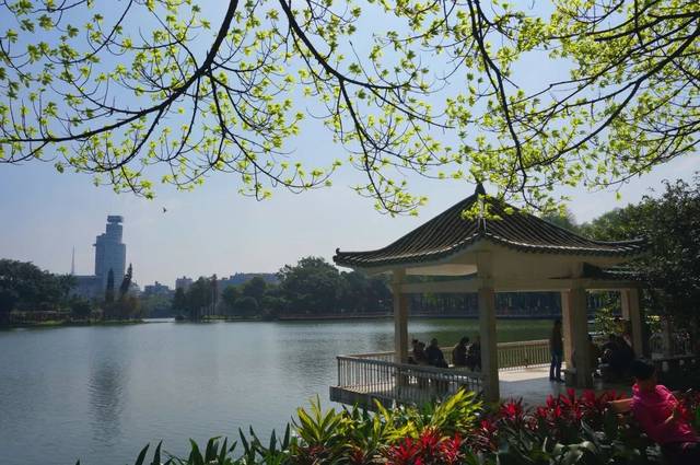 3,流花湖公园