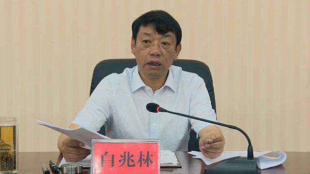 市人民政府副市长,镇沅县委书记白兆林出席会议.