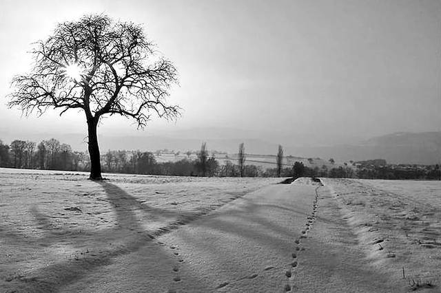 【武汉教育朗读者372】故乡