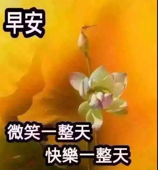 清晨群发的早上好图片动态的带鲜花 温馨早上好动态表情图片