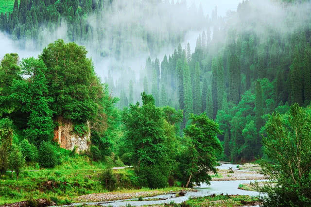 中国最美十大森林:大自然中生命的摇篮,你最向往哪一个森林?