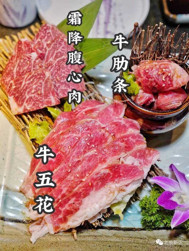 第一次来点初中语文阅读深度图片