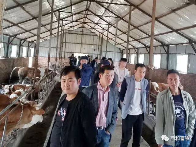 西和县2019年新型职业农民培育“畜牧养殖”第一期培训班成功举办