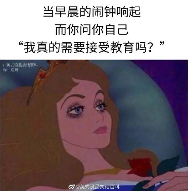 每当早晨闹钟响起,我都会问我自己"我真的需要接受教育吗?"