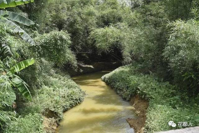 【探秘】湖广总督居然葬在赤坭镇竹洞村,原因至今是个谜