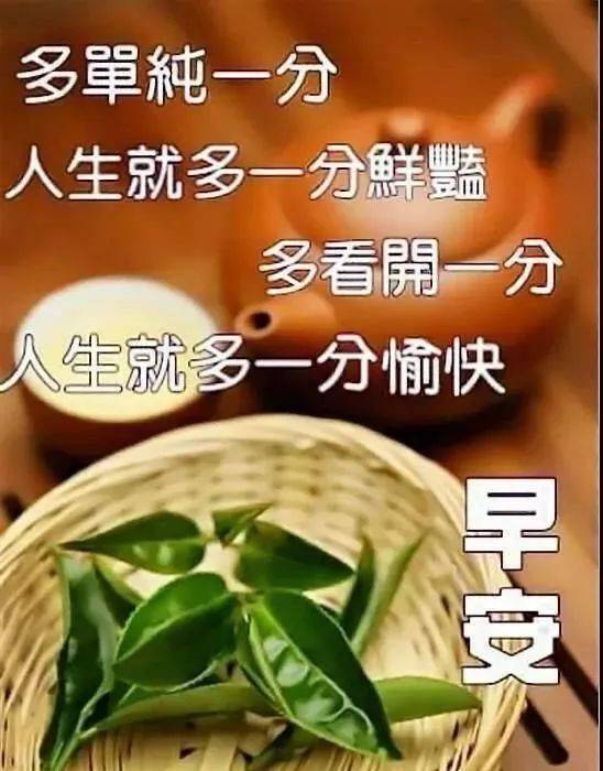 朋友圈清早早上好问候图片鲜花带字,早晨好幸福暖心的