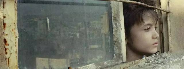 我起诉了我的父母:生而不养，何以为家?