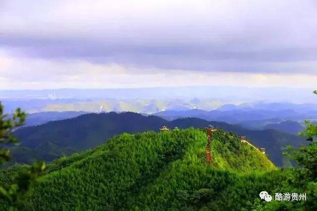 野鸡坪