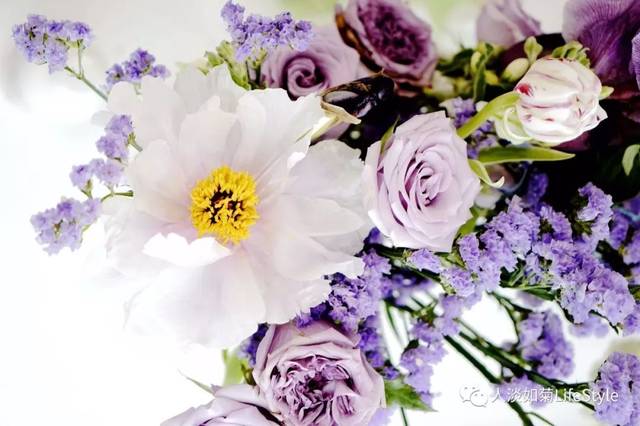 干货 面部抗衰老护理 家居按摩手法视频