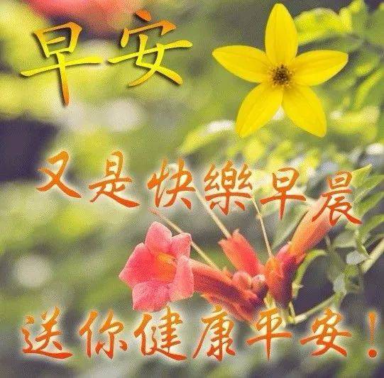 早上好!