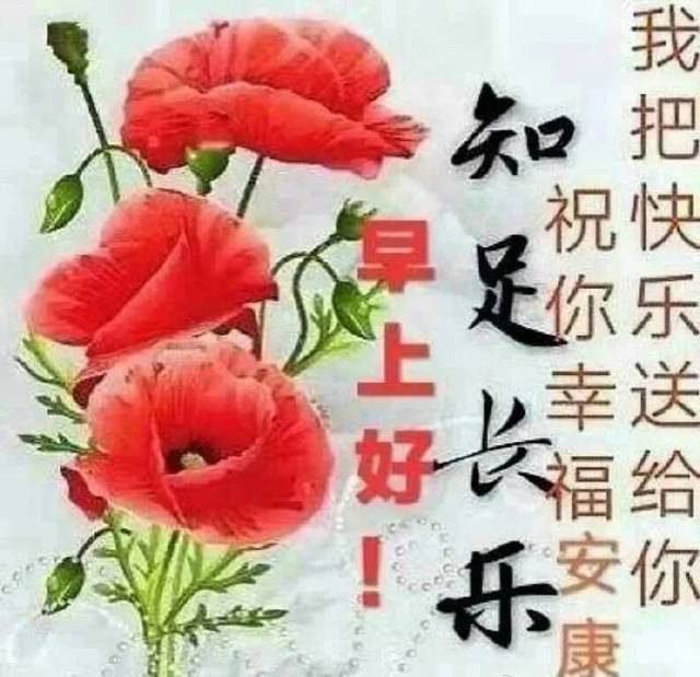 最新清晨问候大家早上好漂亮美图,早上好祝福短信暖心