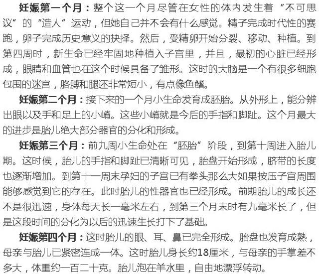 认识生命系列11十月怀胎