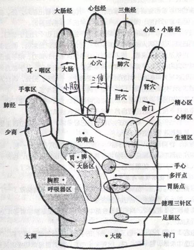 另外,还可加取手心的心包区和手背的血压反应区, 这两个区带也是治疗