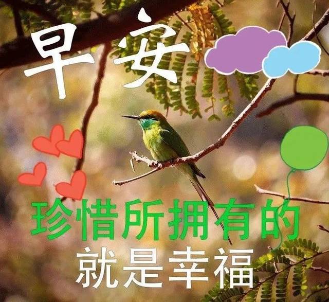 2019早晨图片祝福句子 早晨好表情问候短句