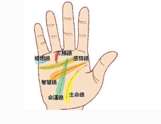 偏财旺的手相