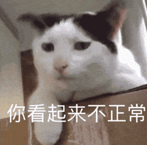 全新猫咪表情包,拿走不谢!