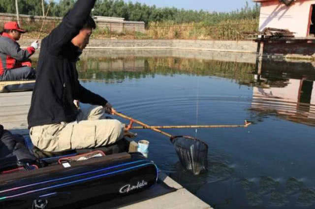 原创流行于日本的黑拉钓法,已经形成了一种"钓鱼技术文化"