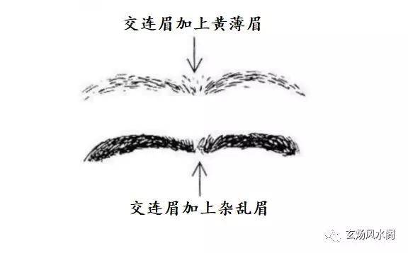姜群:"六害眉心亲义绝",六种不利运势的眉相图解