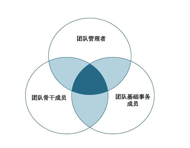 1.针对团队管理者什么是有效执行力