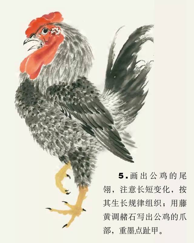 图文教程:一学就会画公鸡