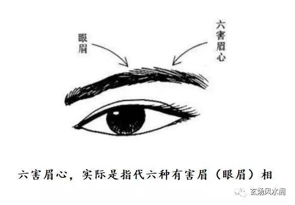姜群:六害眉心亲义绝,六种不利运势的眉相图解