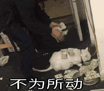 全新猫咪表情包,拿走不谢!