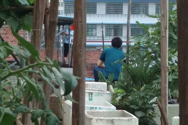 衡阳13岁小孩因家庭矛盾和学习压力,竟留遗书跳楼轻生