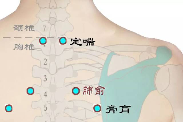 5寸(同身寸). 定喘定位在背部,当第7颈椎棘突下,旁开0.5寸(同身寸).