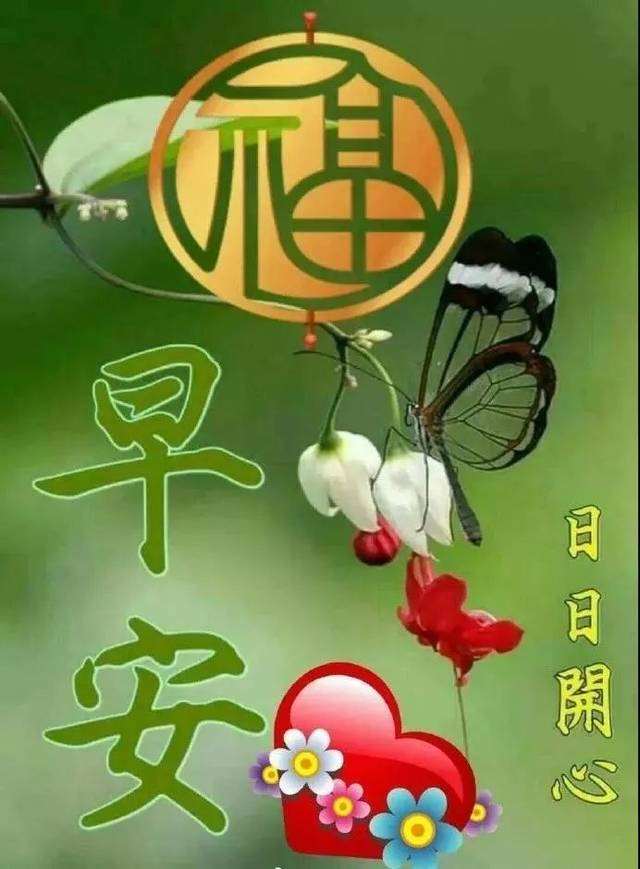 星期五清晨暖心的早上好问候祝福语动态图片,最美早上