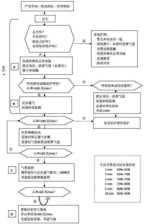 超全!新生儿窒息复苏流程表,操作步骤方法,视频解读