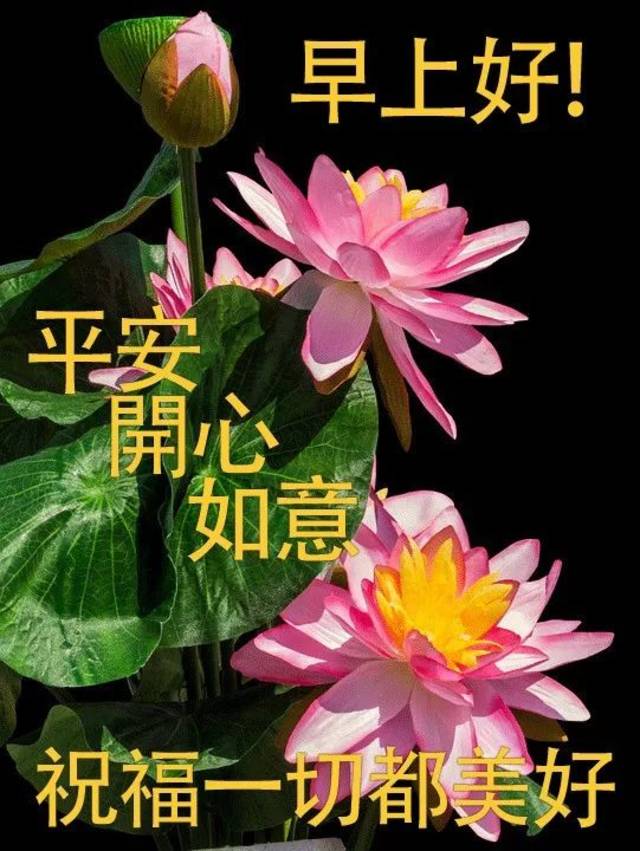 周五早上好图片问候 朋友圈问候表情大全