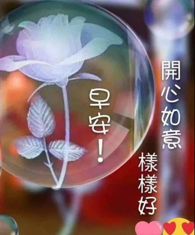 周五早上好图片问候 朋友圈问候表情大全