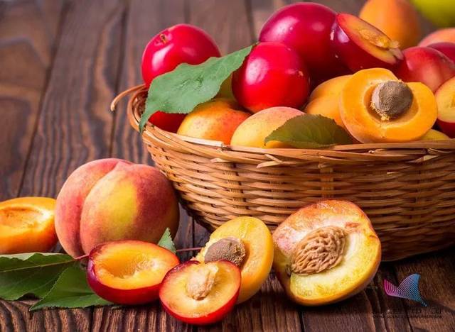 杏,樱桃,梅子的果核有着木质的坚硬外壳,所以都 属于核果类的水果